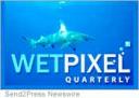 Wetpixel Quarterly