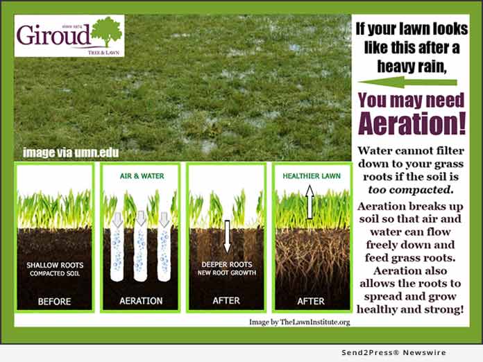 4 Steps To Take Now Achieve A Beautiful Lawn Next Year 4 Steps To Take Now Achieve A Beautiful Lawn Next Year