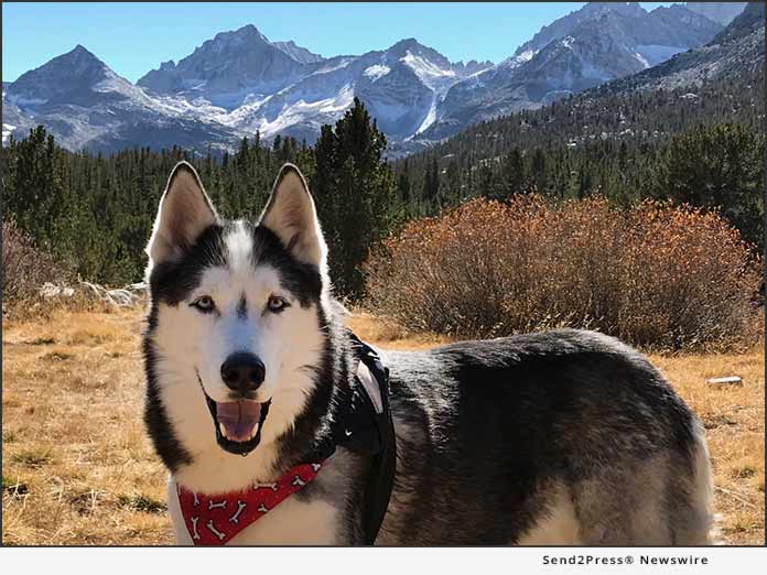 Legend in Mammoth - Ask Ariel Your Pet Nutritionist