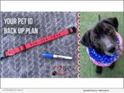 Pet ID Backup Plan - Sacramento SPCA