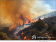 Fires Ravage Malibu California (AI)