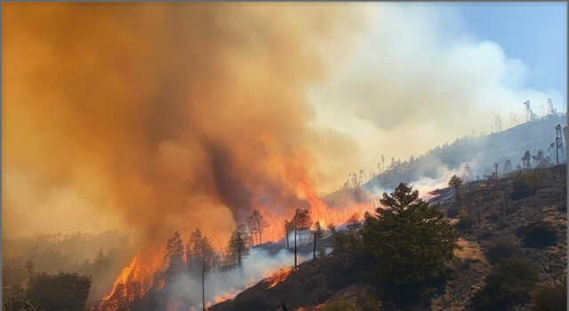 Fires Ravage Malibu California (AI)