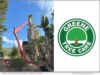 Greene Tree Care in Ventura County