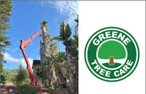 Greene Tree Care in Ventura County