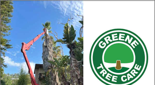 Greene Tree Care in Ventura County