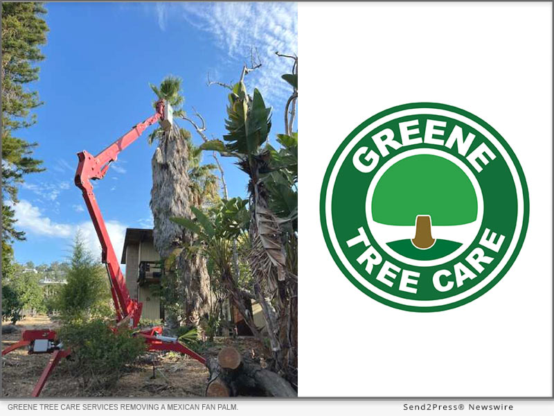 Greene Tree Care in Ventura County