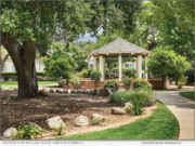 Hillcrest Senior Living Offers an Ideal Community for Solo Agers
