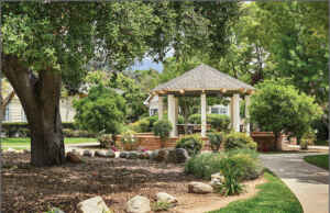 Hillcrest Senior Living Offers an Ideal Community for Solo Agers