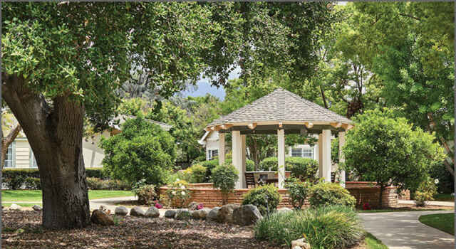 Hillcrest Senior Living Offers an Ideal Community for Solo Agers