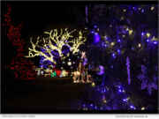 Christmas at Schnepf Farms Returns with Its Biggest Holiday Experience Yet for 2025 | National News