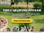 National News: HitPaw Launches its Playful 2026 ‘Pay the Cat Tax’ Campaign – Win Prizes by Sharing and Caring for Your Cat