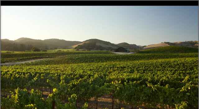 Domaine Carneros Named Sustainable Business of the Year by Napa Chamber of Commerce Photo credit Curt Fischer for Domaine Carneros