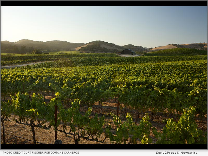 Photo credit Curt Fischer for Domaine Carneros