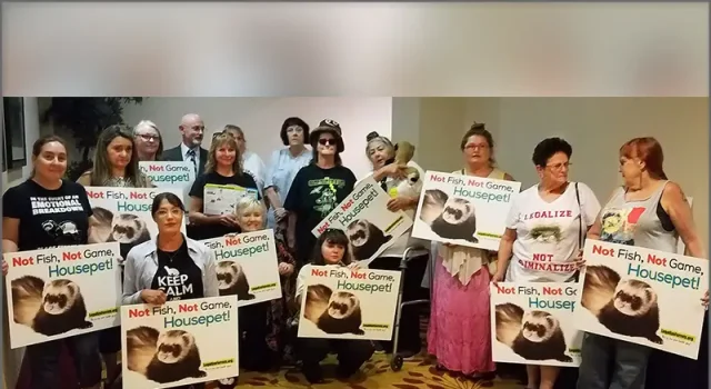 Legalize Ferrets supporters at Calif. Fish and Game Commission meeting