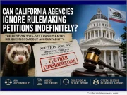 Legalize Ferrets Lawsuit Petition in California