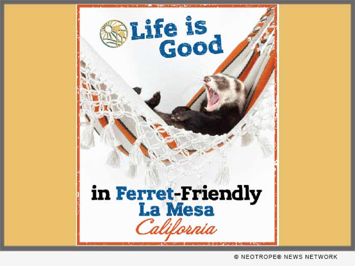 LA MESA CA Ferret Friendly