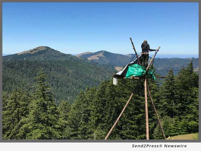 Civil Disobedience Protest on Rainbow Ridge