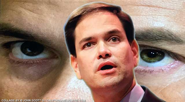 Marco Rubio and the GOP Work Ethic