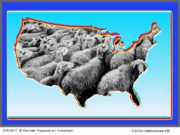 Nation of Sheep Made to Distrust Hillary